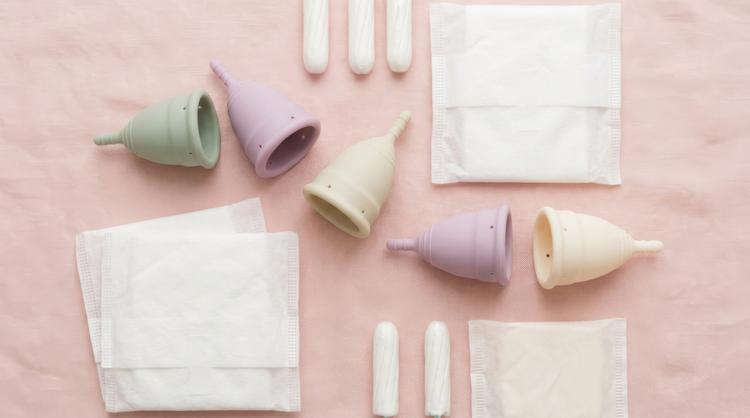 Coletor Menstrual