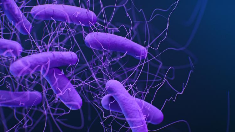 Clostridioides difficile na DII: O que orienta a nova diretriz da AGA?