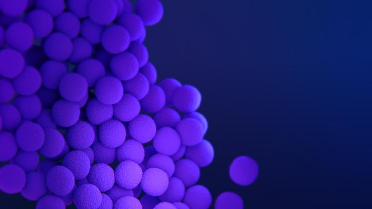 Infecção da corrente sanguínea: quanto tempo tratar bactérias resistentes?