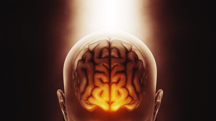 Agonistas de GLP-1 e epilepsia: risco convulsivo ou efeito neuroprotetor?