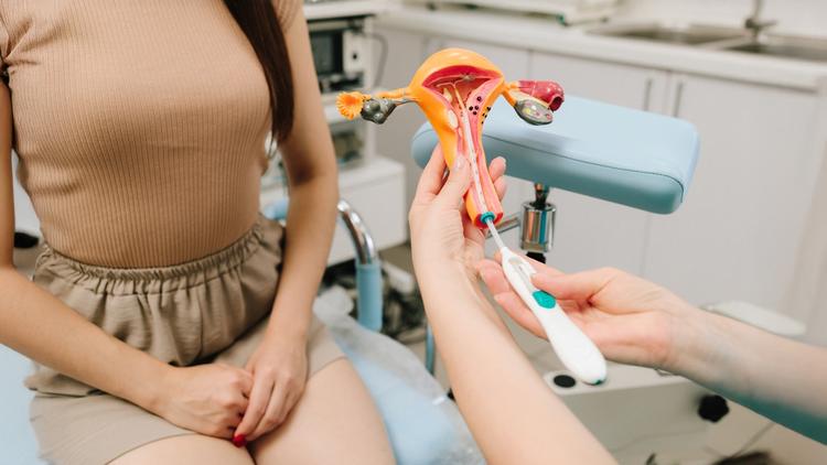 Profissional da saúde demonstrando inserção do DIU hormonal em protótipo e mulher aguardando atendimento